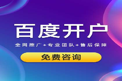 案例解读：SEO与SEM优化助力电商崛起